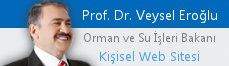 Prof. Dr. Veysel Erolu